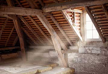 Attic Cleaning | Attic Cleaning Newport Beach, CA