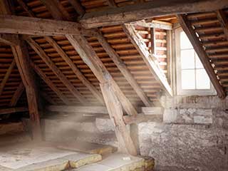Attic Cleaning Service | Attic Cleaning Newport Beach, CA Attic Cleaning Service | Attic Cleaning Newport Beach, CA