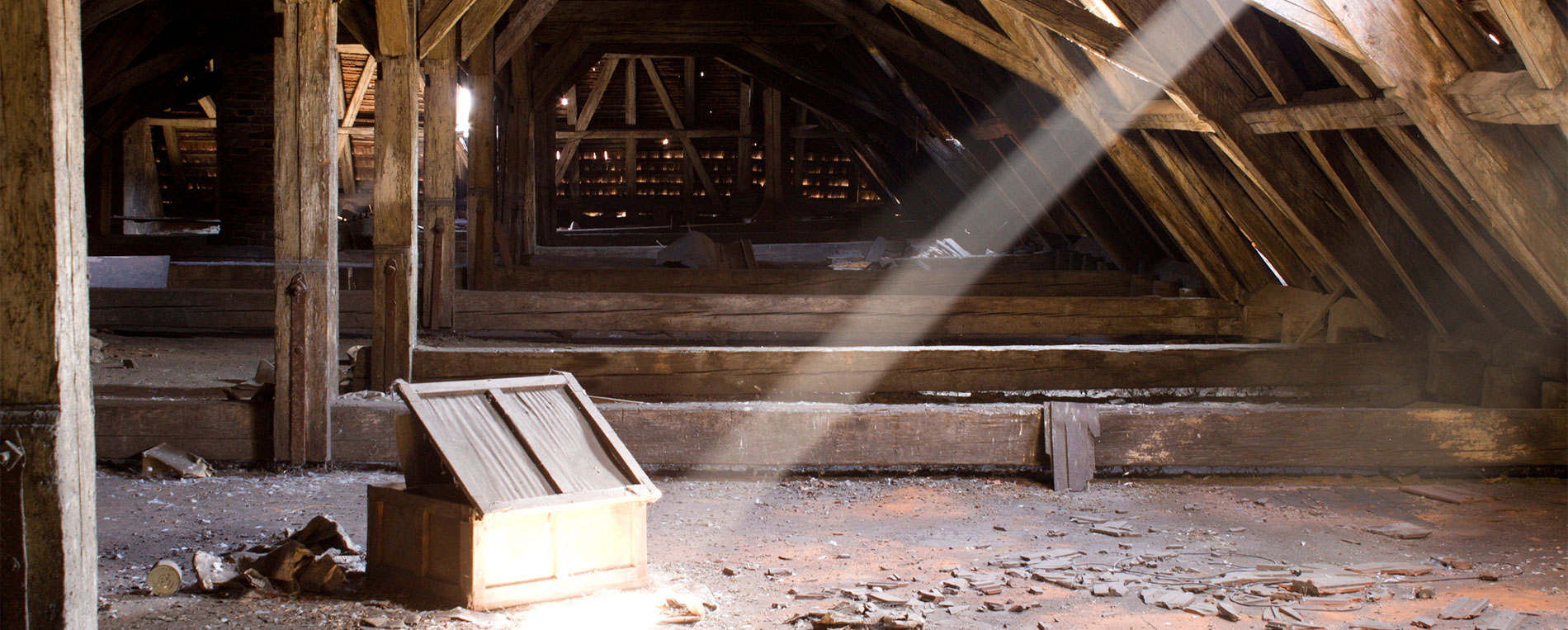 Attic Insulation Removal